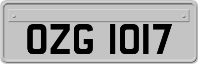 OZG1017