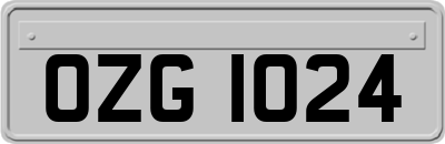 OZG1024