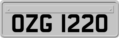 OZG1220