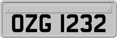 OZG1232