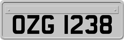 OZG1238