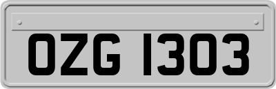 OZG1303