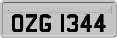 OZG1344