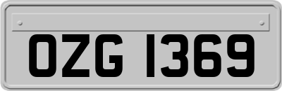 OZG1369