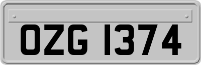 OZG1374