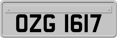 OZG1617