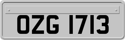 OZG1713