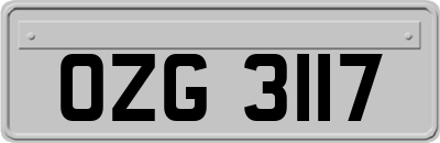 OZG3117