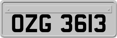 OZG3613