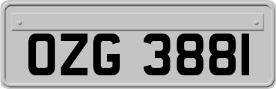 OZG3881