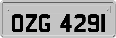 OZG4291