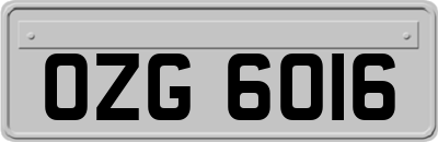 OZG6016