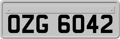 OZG6042