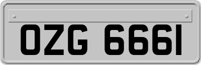OZG6661