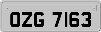 OZG7163
