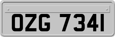 OZG7341