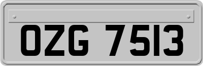 OZG7513