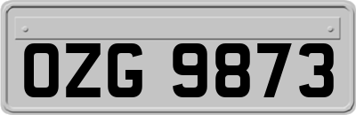 OZG9873