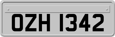 OZH1342