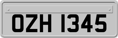 OZH1345