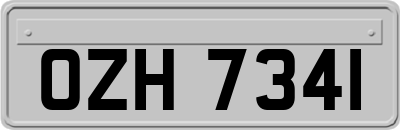 OZH7341