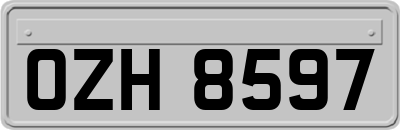 OZH8597