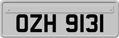OZH9131