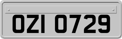 OZI0729