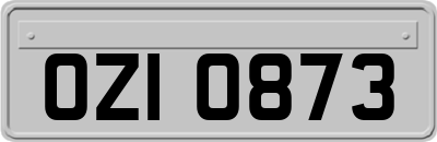 OZI0873