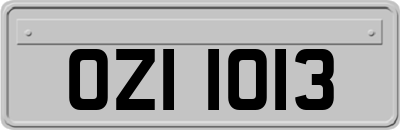 OZI1013