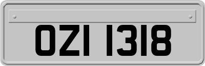 OZI1318