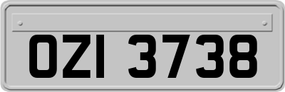 OZI3738