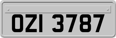 OZI3787
