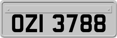 OZI3788