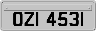 OZI4531