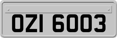 OZI6003