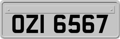 OZI6567