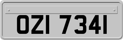 OZI7341