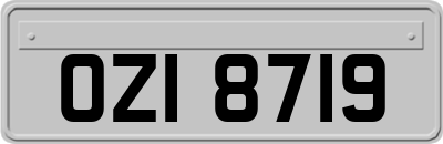 OZI8719