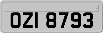 OZI8793
