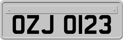 OZJ0123