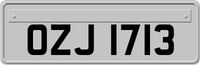 OZJ1713