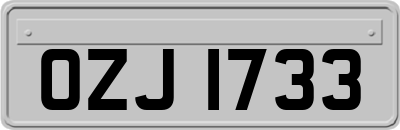 OZJ1733
