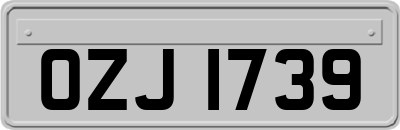OZJ1739