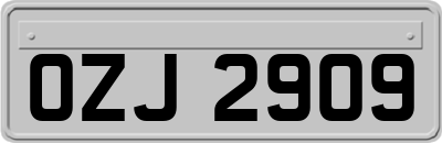 OZJ2909