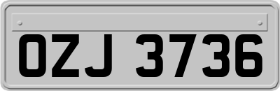 OZJ3736