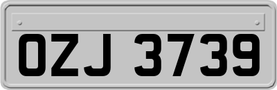 OZJ3739