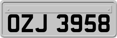 OZJ3958