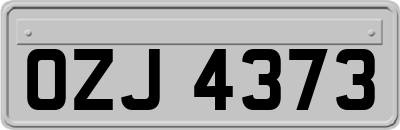 OZJ4373