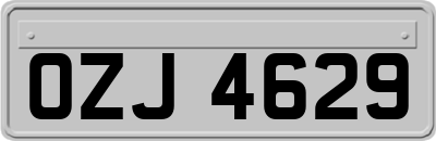 OZJ4629